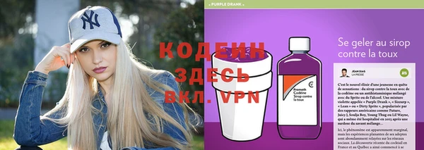 стаф Гусев