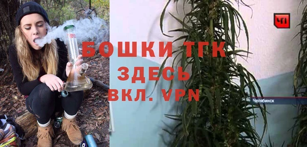 стаф Гусев
