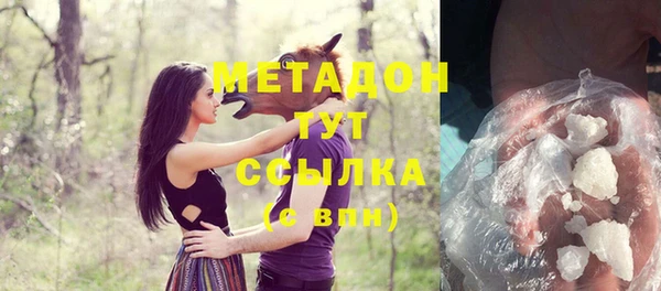 стаф Гусев