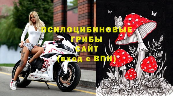 прущая мука Гусь-Хрустальный