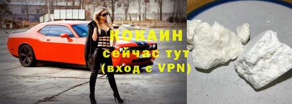 индика Михайлов