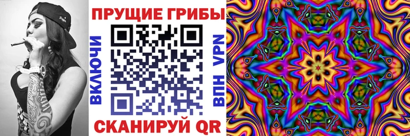 Галлюциногенные грибы прущие грибы  купить   Пласт 